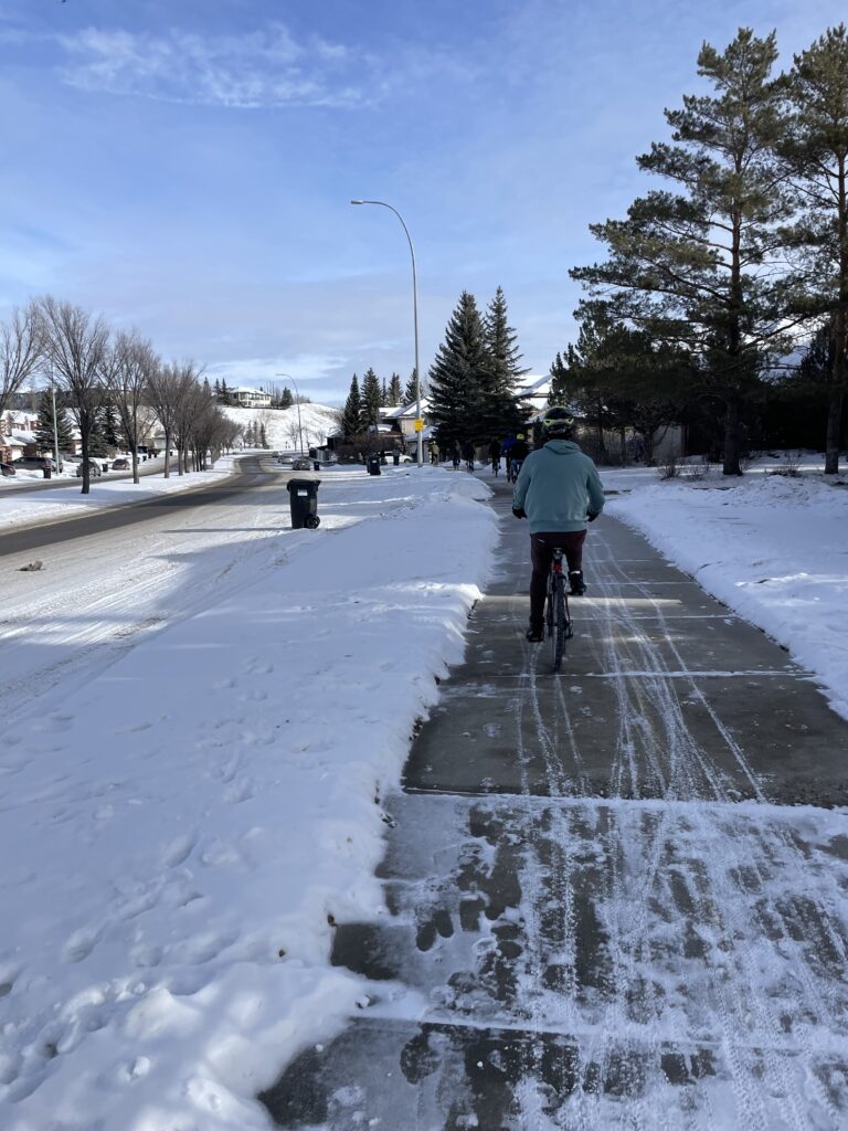 Students ride bikes on partially cleared pathway in forest lawn